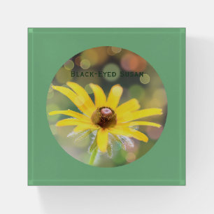 Black-Eyed Susan Flower on Dark Sea Green Floral Paperweight