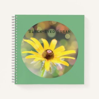 Black-Eyed Susan Flower on Dark Sea Green