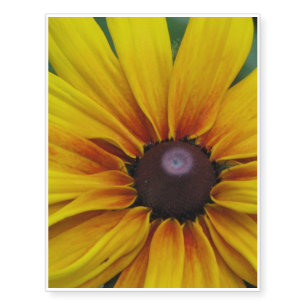 Black Eyed Susan Flower Temporary Tattoos