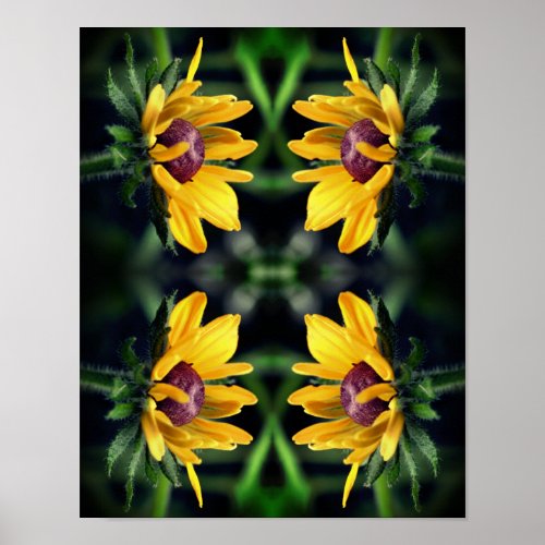 Black Eyed Susan Flower Unfolding Abstract     Poster