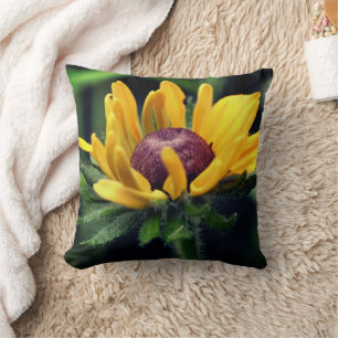 Black Eyed Susan Flower Unfolding  Throw Pillow