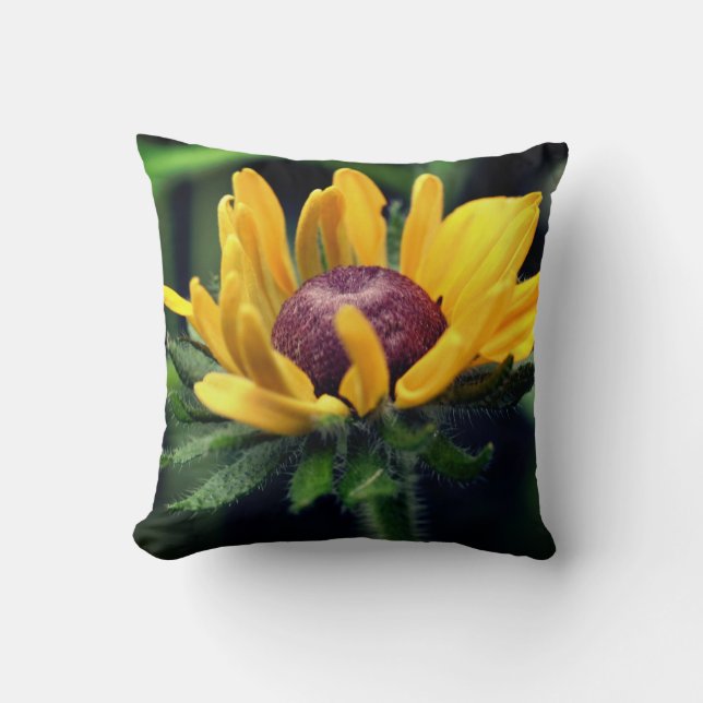 Black Eyed Susan Flower Unfolding  Throw Pillow (Front)