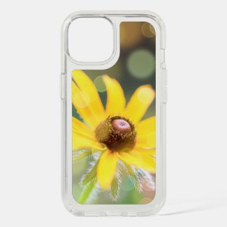 Black-Eyed Susan Flower with Bokeh 