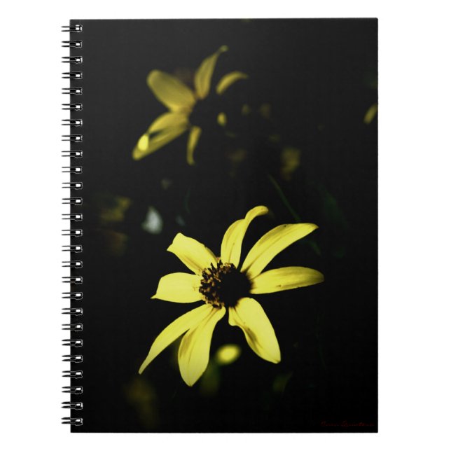 Black-Eyed Susan Flowered Notebook Journal (Front)