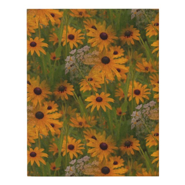 Black Eyed Susan Flowers  Faux Canvas Print (Front)