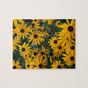 Black-eyed Susan Flowers Jigsaw Puzzle