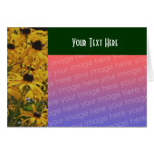 Black Eyed Susan Flowers Photo Card (Front Horizontal)