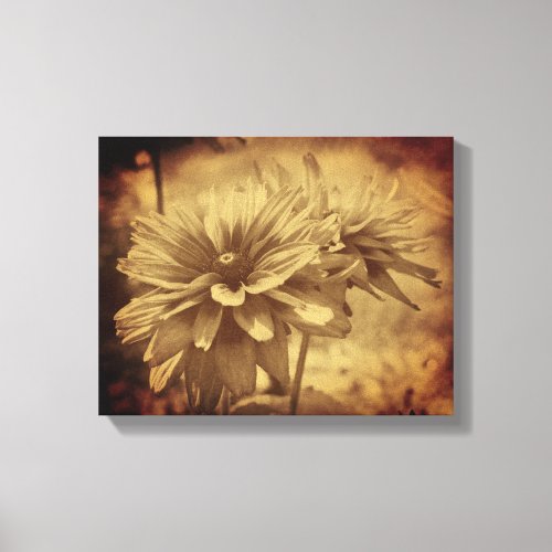 Black Eyed Susan Flowers Sepia Aged Vintage Canvas Print