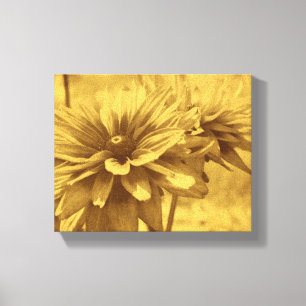 Black Eyed Susan Flowers Sepia Aged Vintage Look Canvas Print
