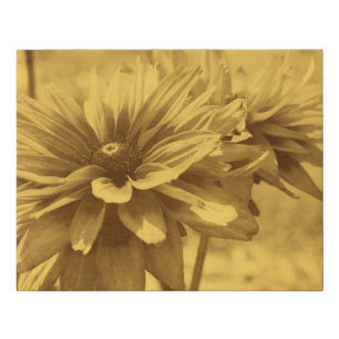Black Eyed Susan Flowers Sepia Aged Vintage Look Faux Canvas Print