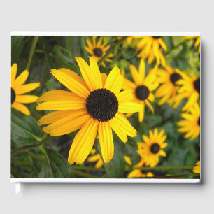 Black eyed susan gusess book