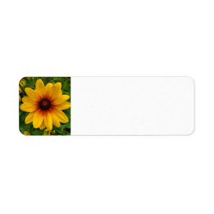 Black-eyed Susan Label