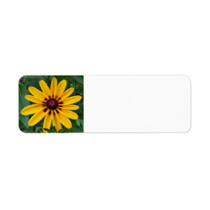 Black-eyed Susan Label