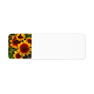 Black-eyed Susan Label
