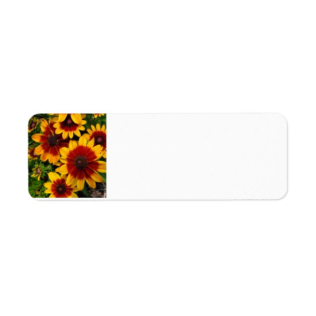 Black-eyed Susan Label (Front)