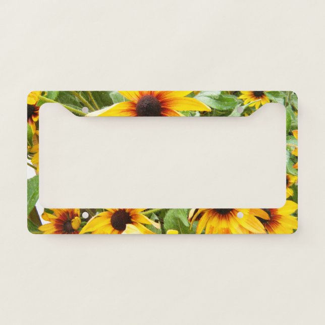 Black Eyed Susan  License Plate Frame (Front)