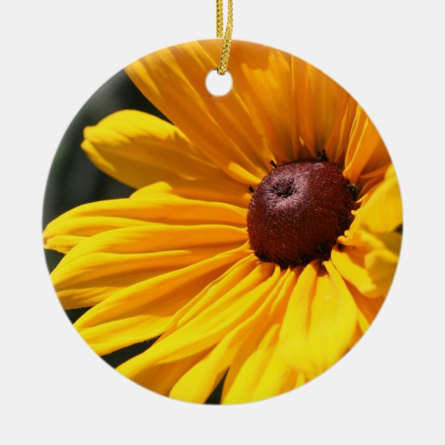 Black Eyed Susan Macro Flower Ornament (Front)