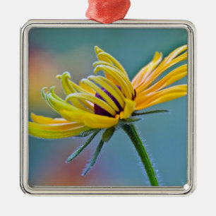 Black-eyed Susan Metal Ornament