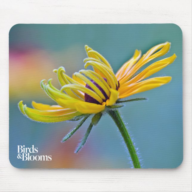 Black-eyed Susan Mouse Pad (Front)