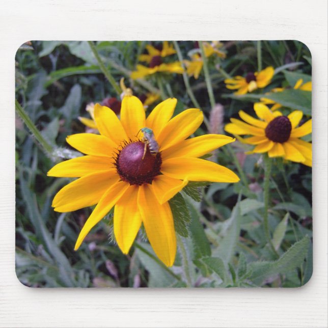 Black-Eyed Susan Mousepad (Front)