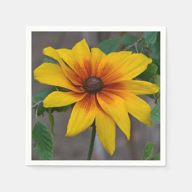Black-eyed Susan Napkin (Front)