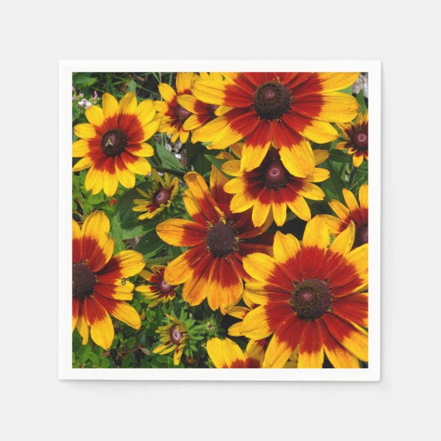 Black-eyed Susan Napkins (Front)