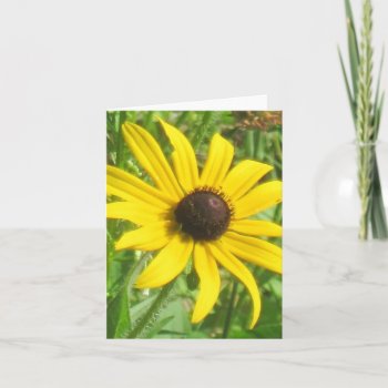 Black-eyed Susan Note Card by HeavensWork at Zazzle