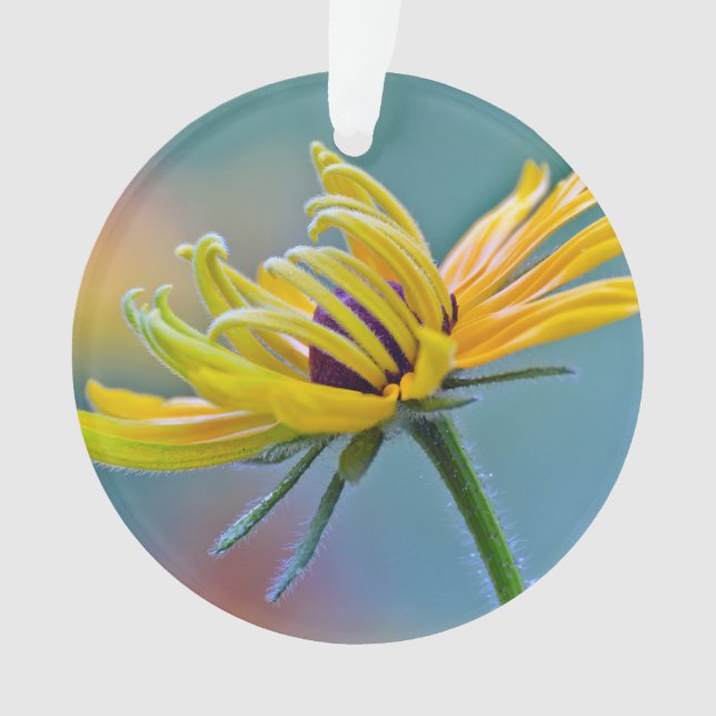 Black-eyed Susan Ornament (Front)