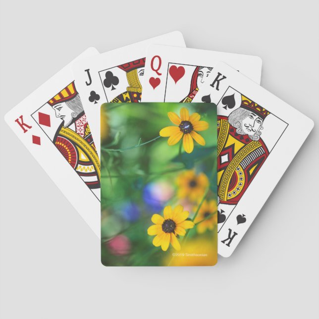 Black-eyed Susan Poker Cards (Back)