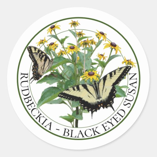 Black Eyed Susan Rudbeckia and Tiger Swallowtails Classic Round Sticker