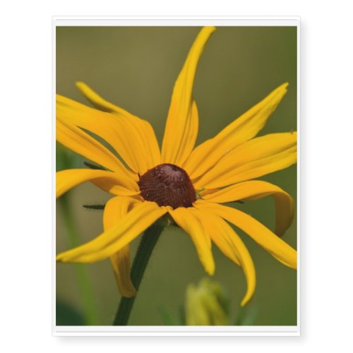 Black Eyed Susan Solitude Temporary Tattoos