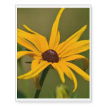 Black Eyed Susan Solitude Temporary Tattoos