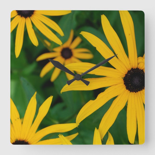 Black Eyed Susan Square Wall Clock (Front)