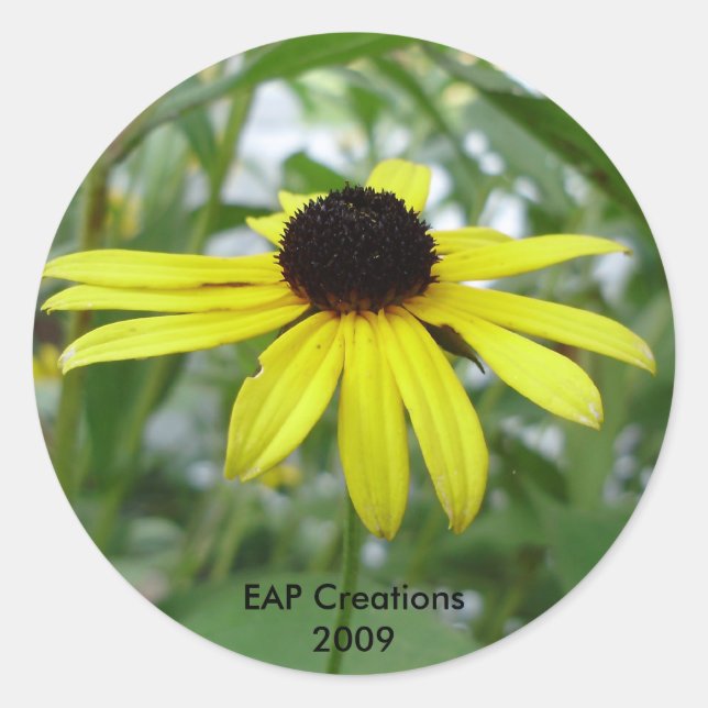 Black eyed susan sticker (Front)