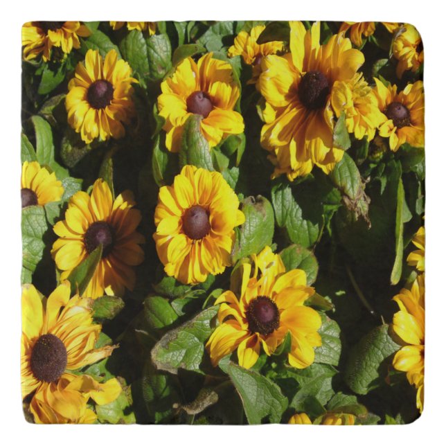 Black Eyed Susan Stone Trivet (Front)