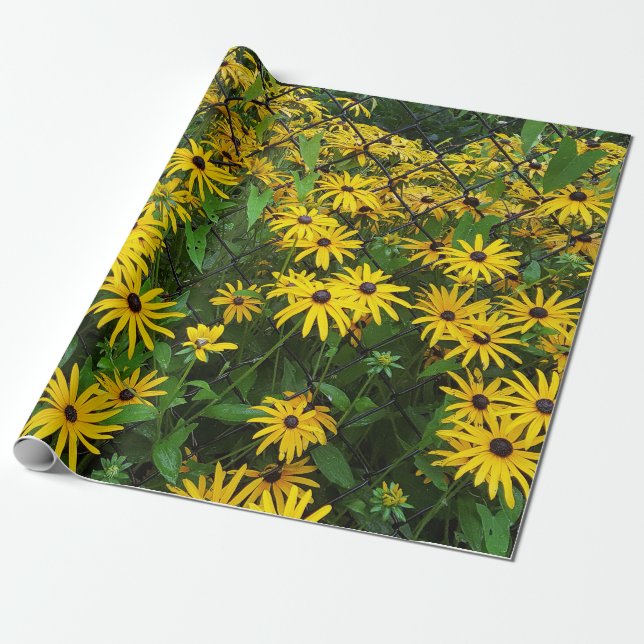 Black-eyed Susan Summer Wrapping Paper (Unrolled)