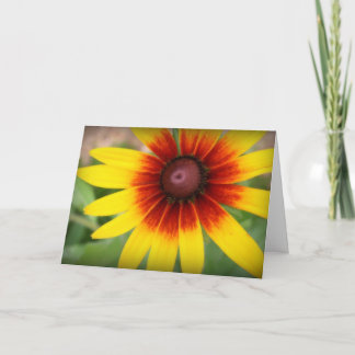 Black-eyed susan - Thank you! You Card