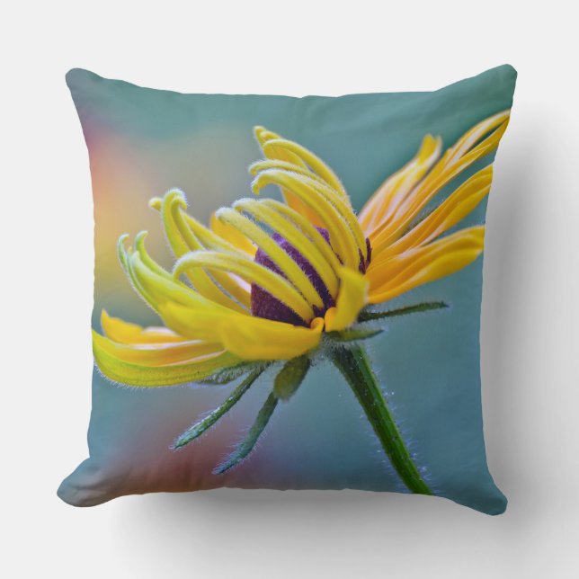 Black-eyed Susan Throw Pillow (Front)