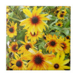 Black Eyed Susan Tile<br><div class="desc">Photograph of pretty bright black eyed susans.</div>