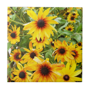 Black Eyed Susan Tile