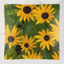 Black Eyed Susan