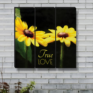 Black Eyed Susan True Love Photograph Triptych
