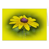 Black-Eyed Susan Wildflower (Front Horizontal)