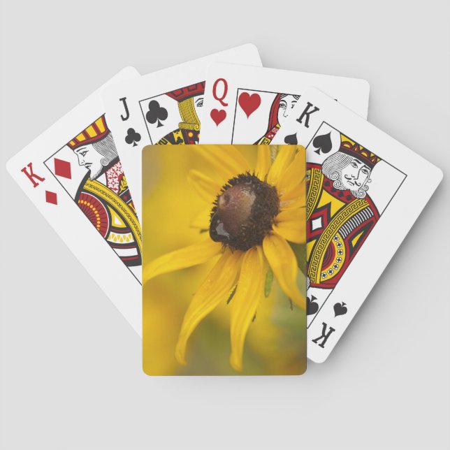 Black-Eyed Susan with a Teardrop Poker Cards (Back)