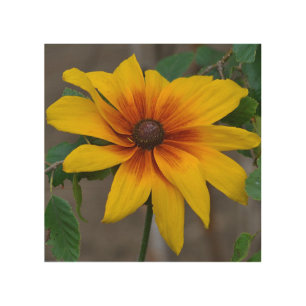 Black-eyed Susan Wood Wall Art