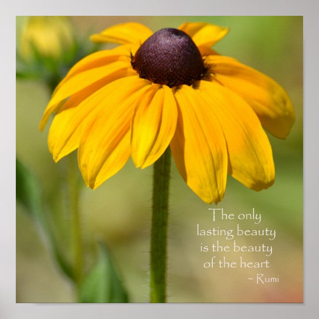 Black Eyed Susan Yellow Flower Rumi quote Poster (Front)