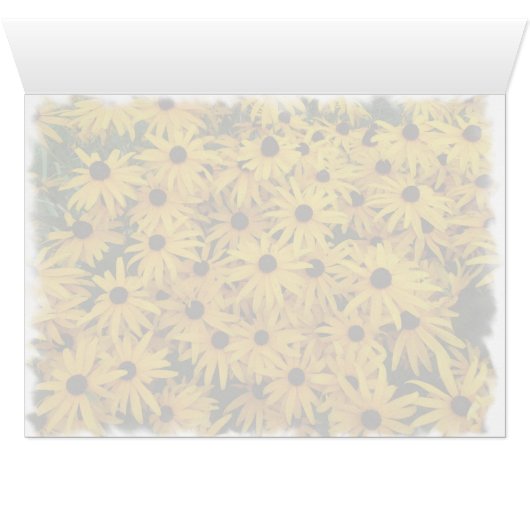 Black Eyed Susans (Inside Horizontal (Bottom))