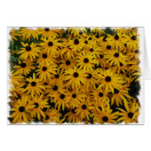 Black Eyed Susans (Front Horizontal)