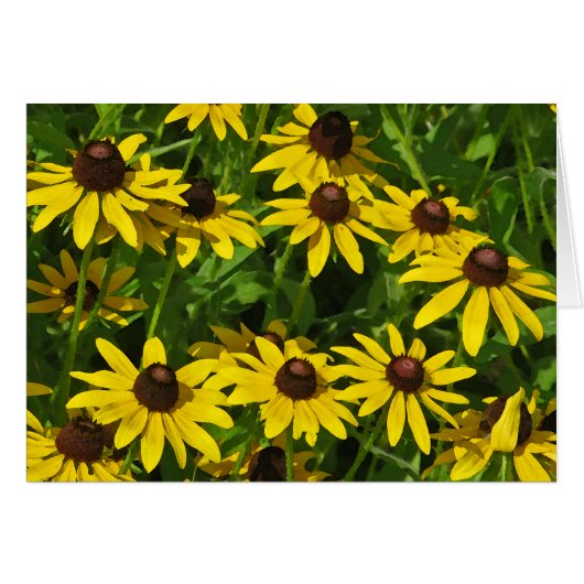 Black-Eyed Susans Art (watercolor) (Front Horizontal)