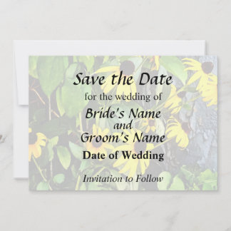 Black Eyed Susans By Stone Wall Save The Date